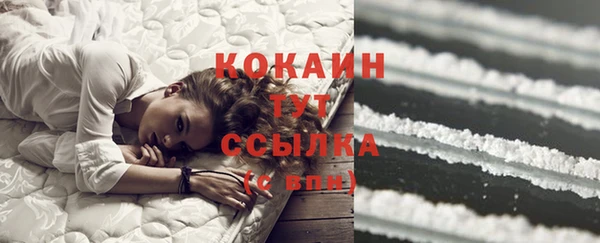дмт Аркадак