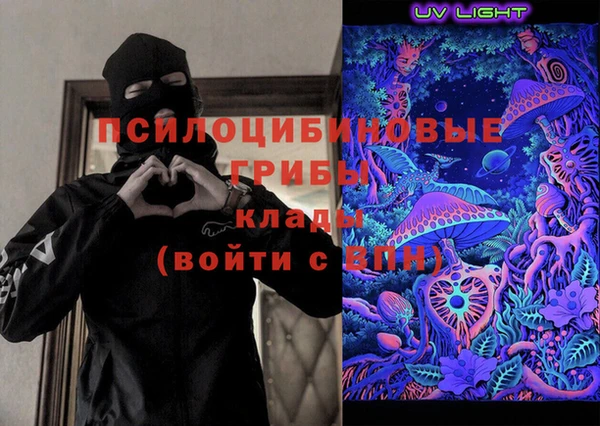 герыч Алексин