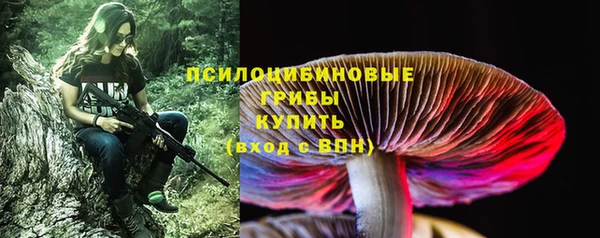 герыч Алексин