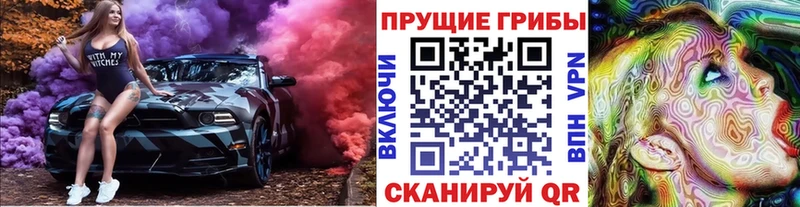 Псилоцибиновые грибы мицелий  Можга 